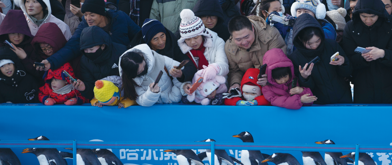 锚定安全主线 护航冰雪盛宴- 2